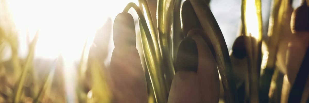 LEISTUNGEN Sternenkinder